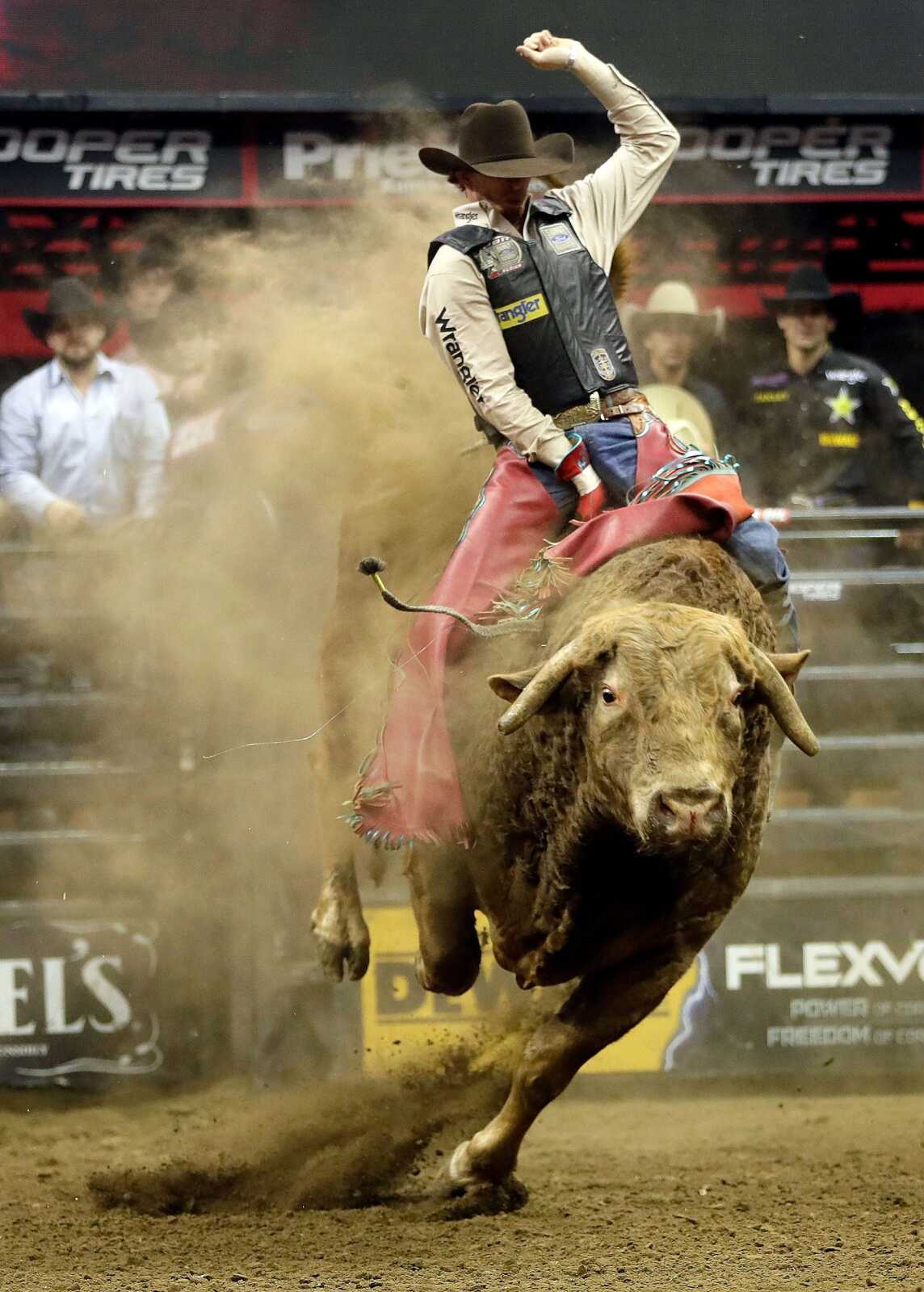 Bullriding Wallpapers (33 images) - WallpaperCat