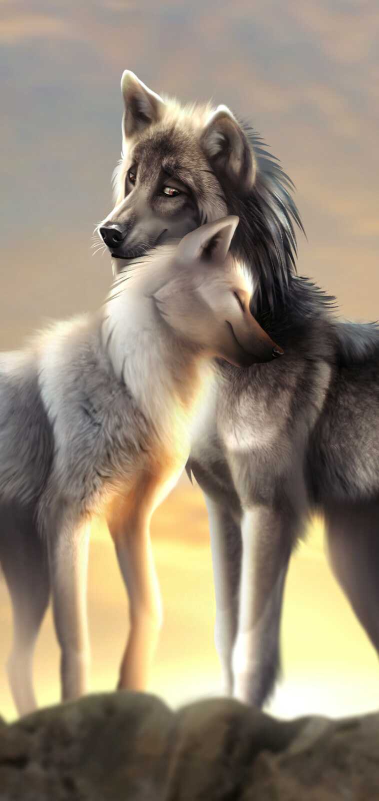 Wolf Pair Nuzzling