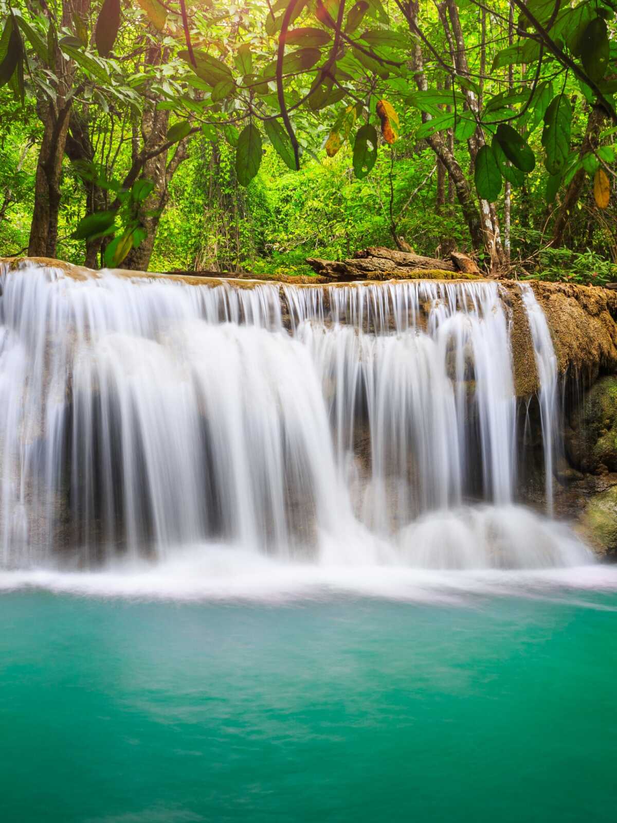 Tiered Jungle Waterfall