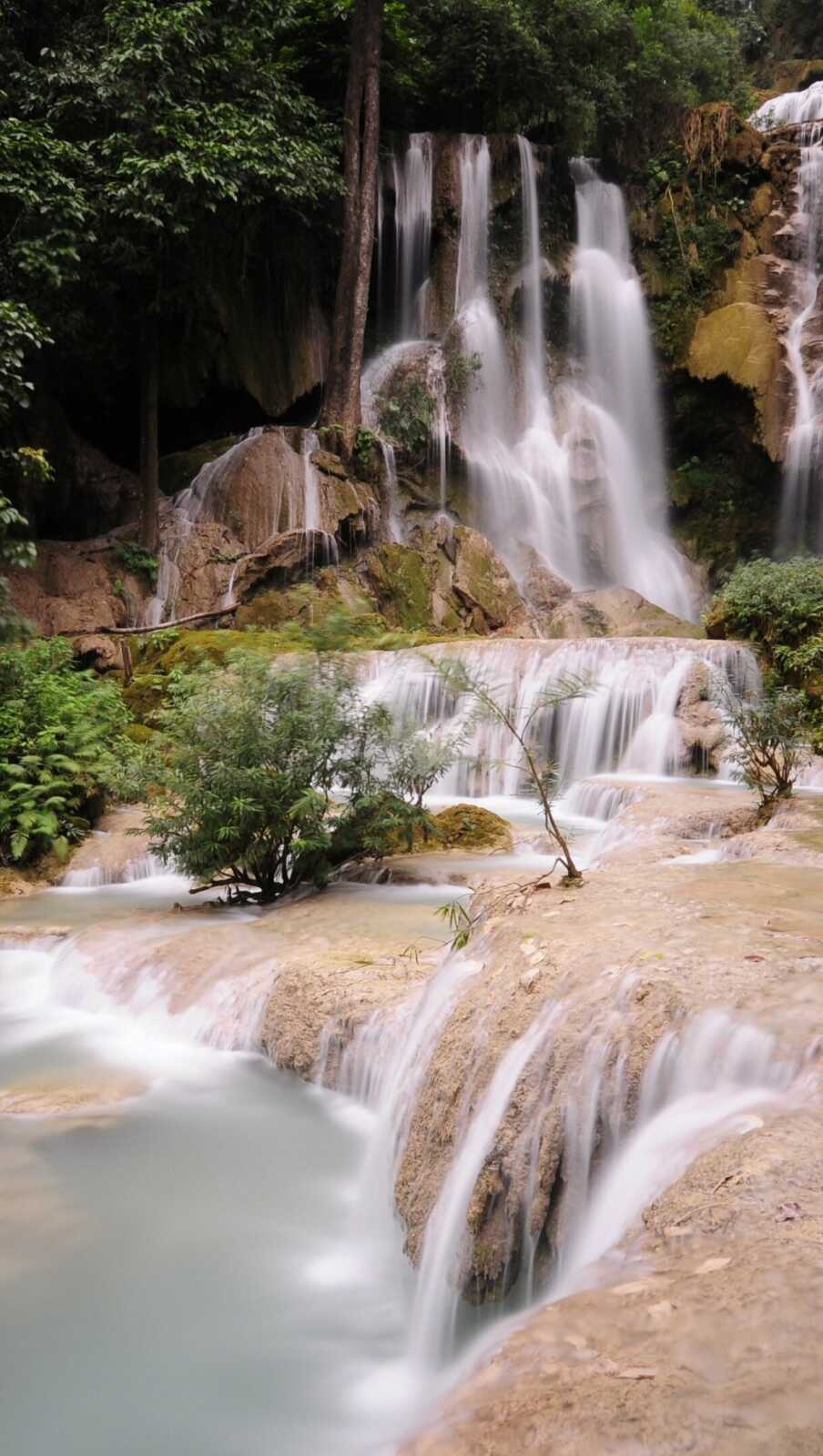 Pongour