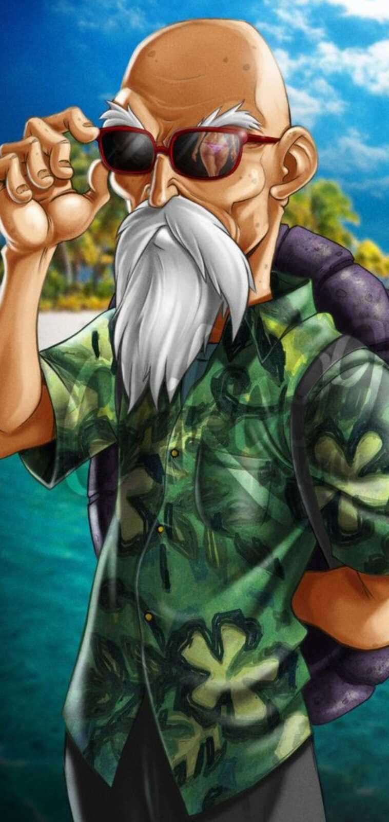 Master Roshi Wallpapers (24 images) - WallpaperCat