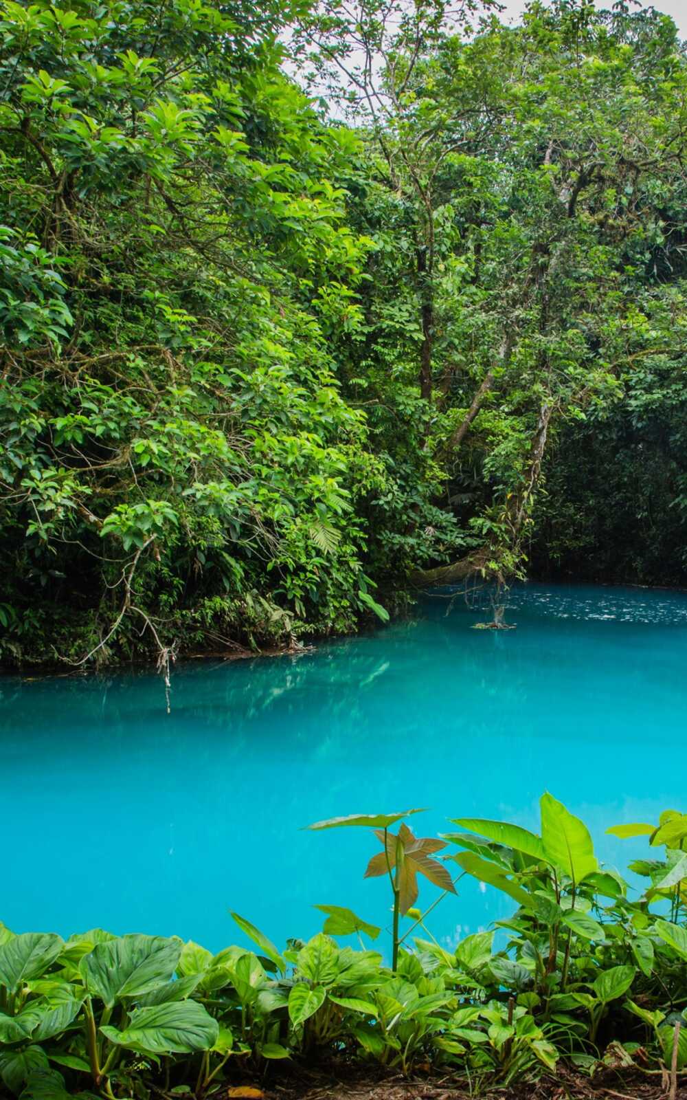Costa Rica Wallpapers (73 images) - WallpaperCat