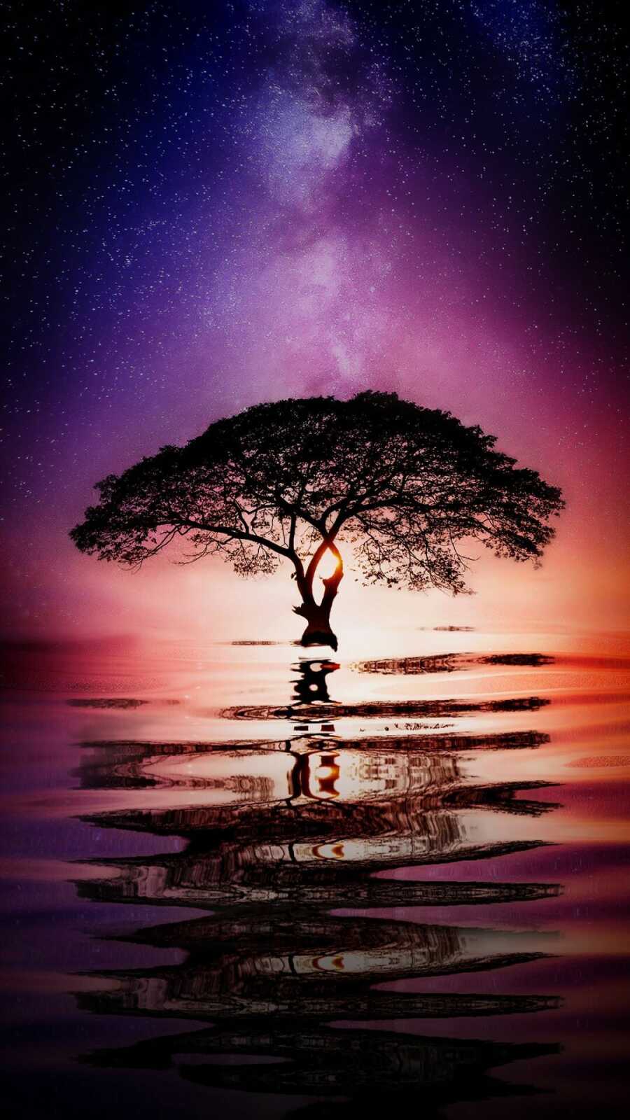 Tree Wallpapers (113 images) - WallpaperCat