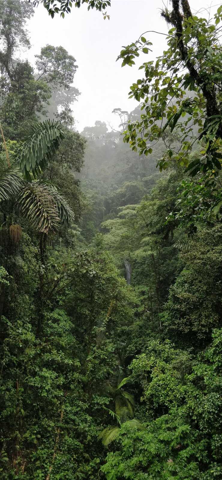 Costa Rica Wallpapers (73 images) - WallpaperCat