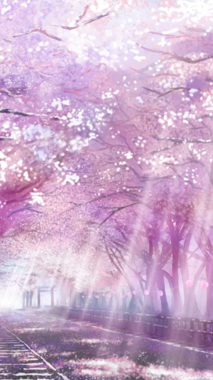Mobile Hd Cherry Blossom Anime - Cherry Blossom