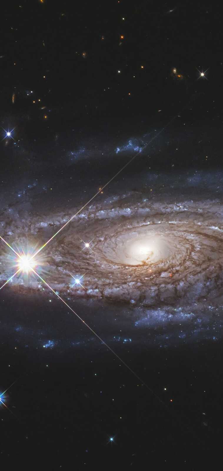 Giant Spiral Galaxy