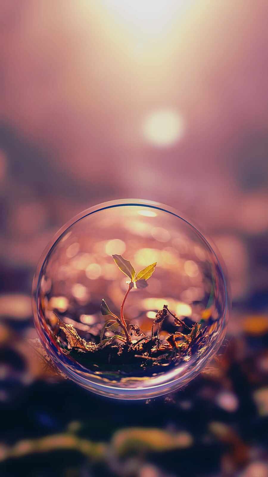 Photo Wallaper Android Android Wallpapers (22 images) - WallpaperCat