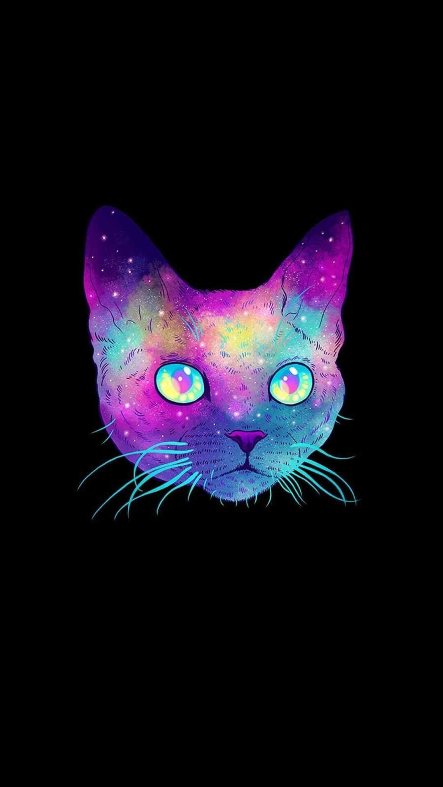 Galaxy Cat