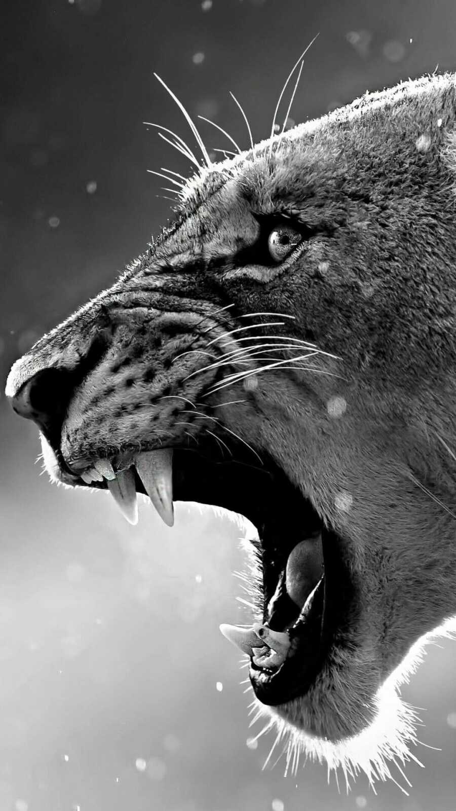 Roaring Lioness Profile