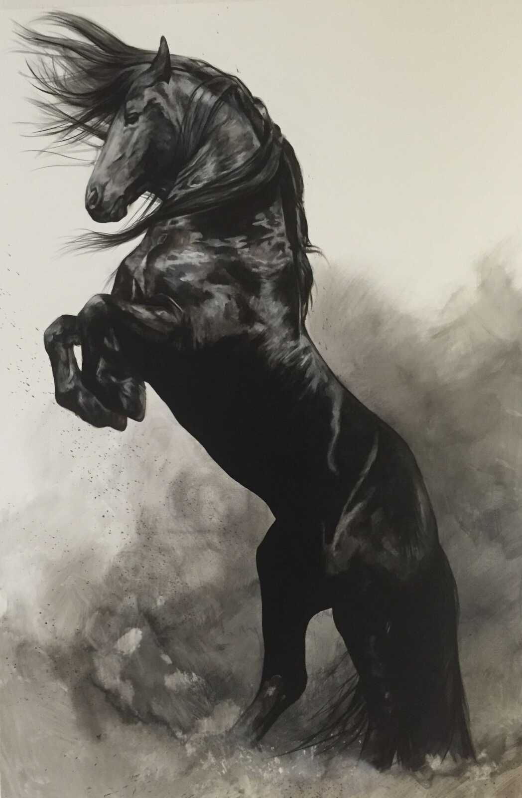 Rearing Black Friesian Horse