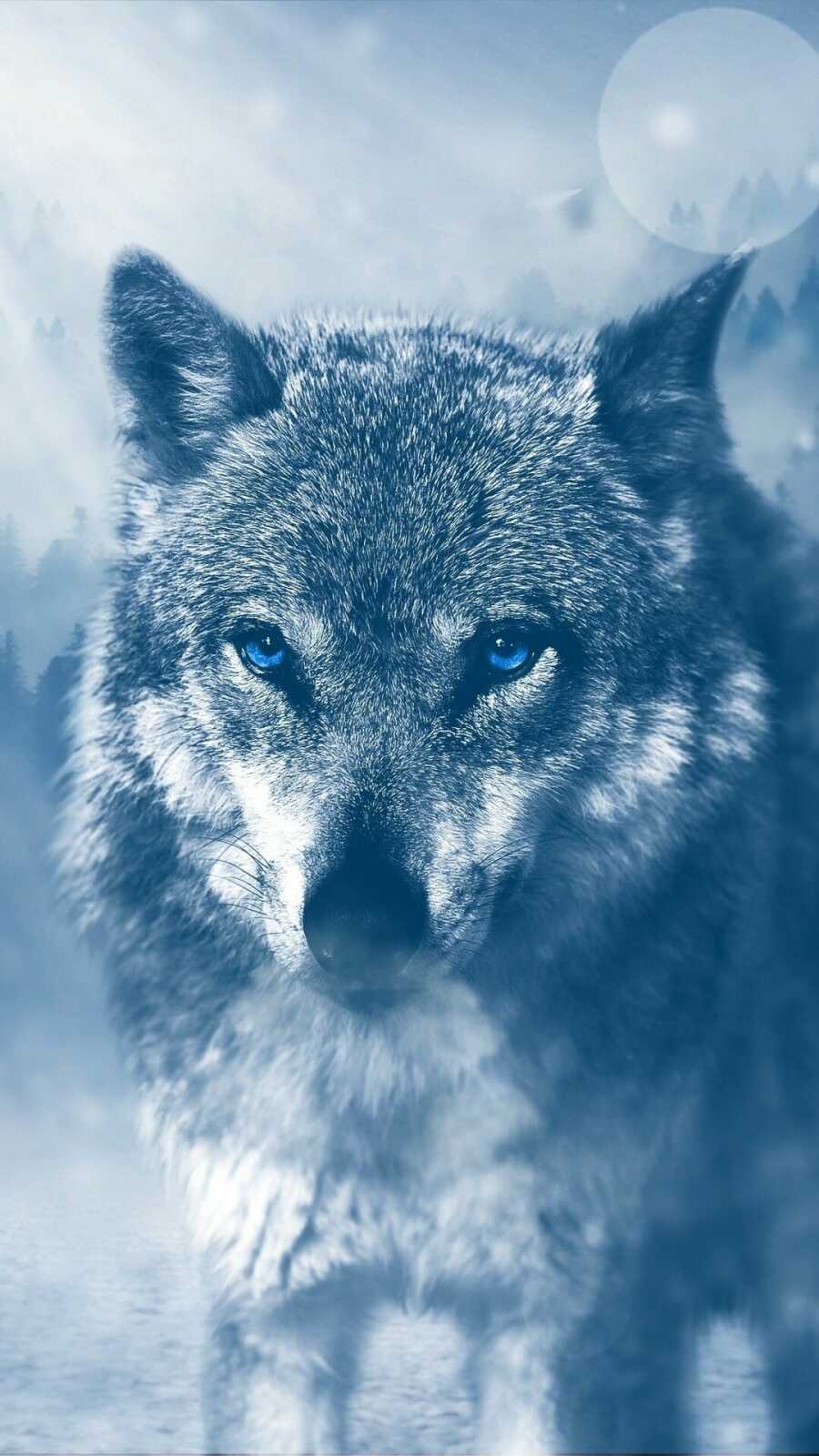 Blue-Eyed Gray Wolf