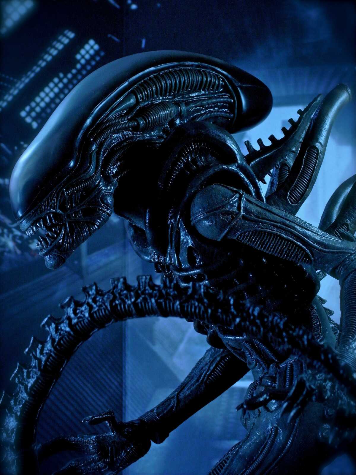 Alien (Movie) Wallpapers (26 images) - WallpaperCat