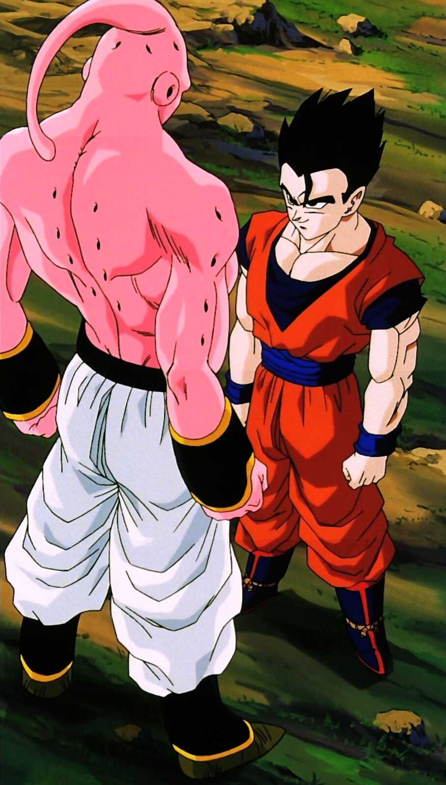 Phone Hd Gohan - Gohan