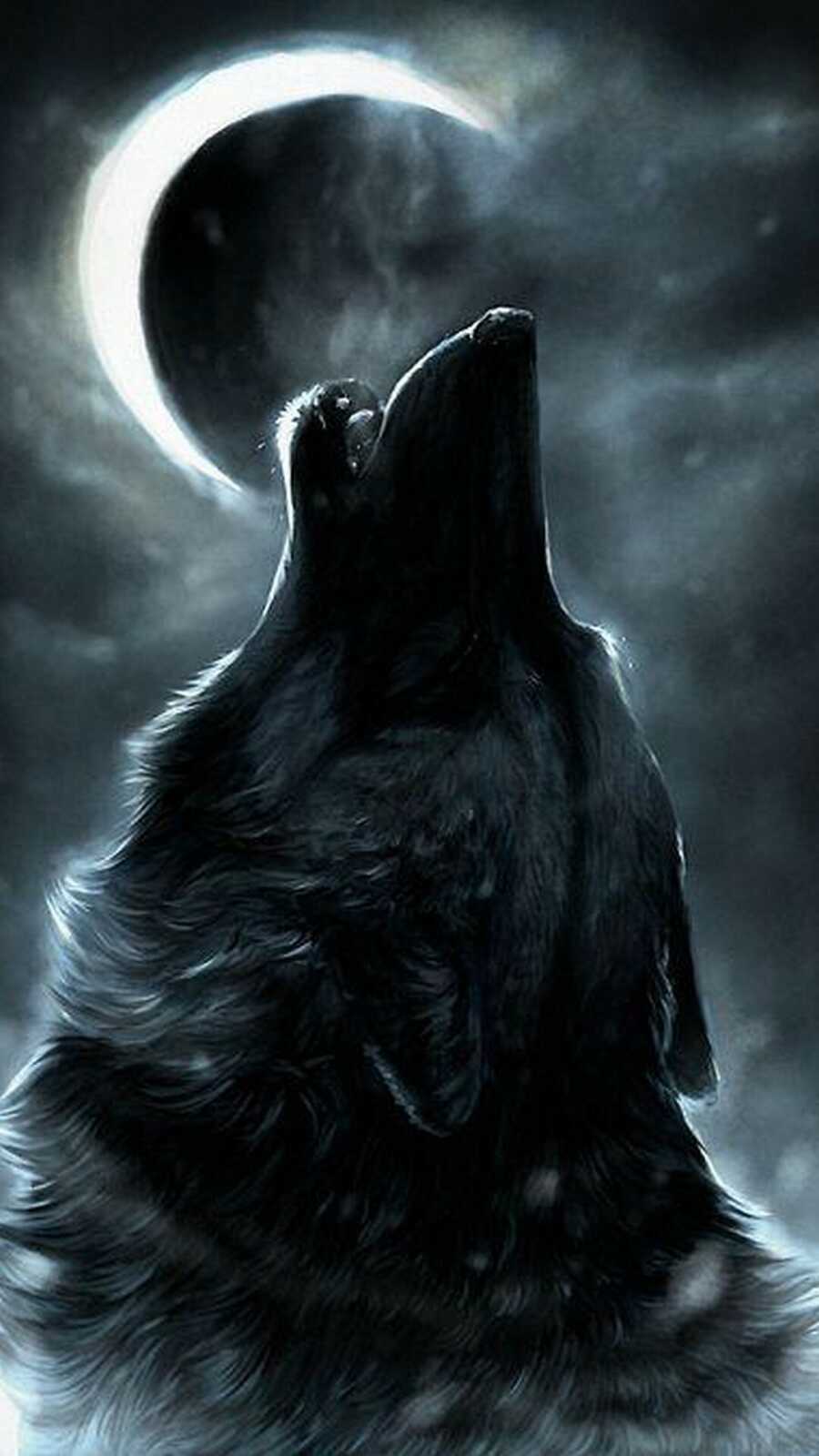 Howling Black Wolf