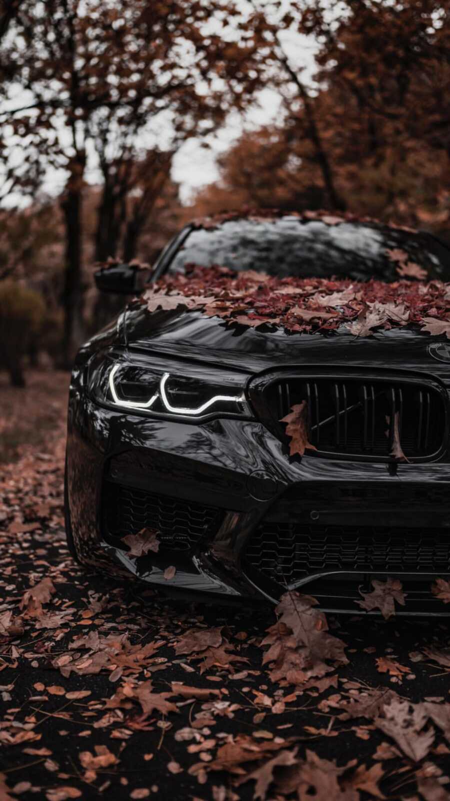 M5 F90