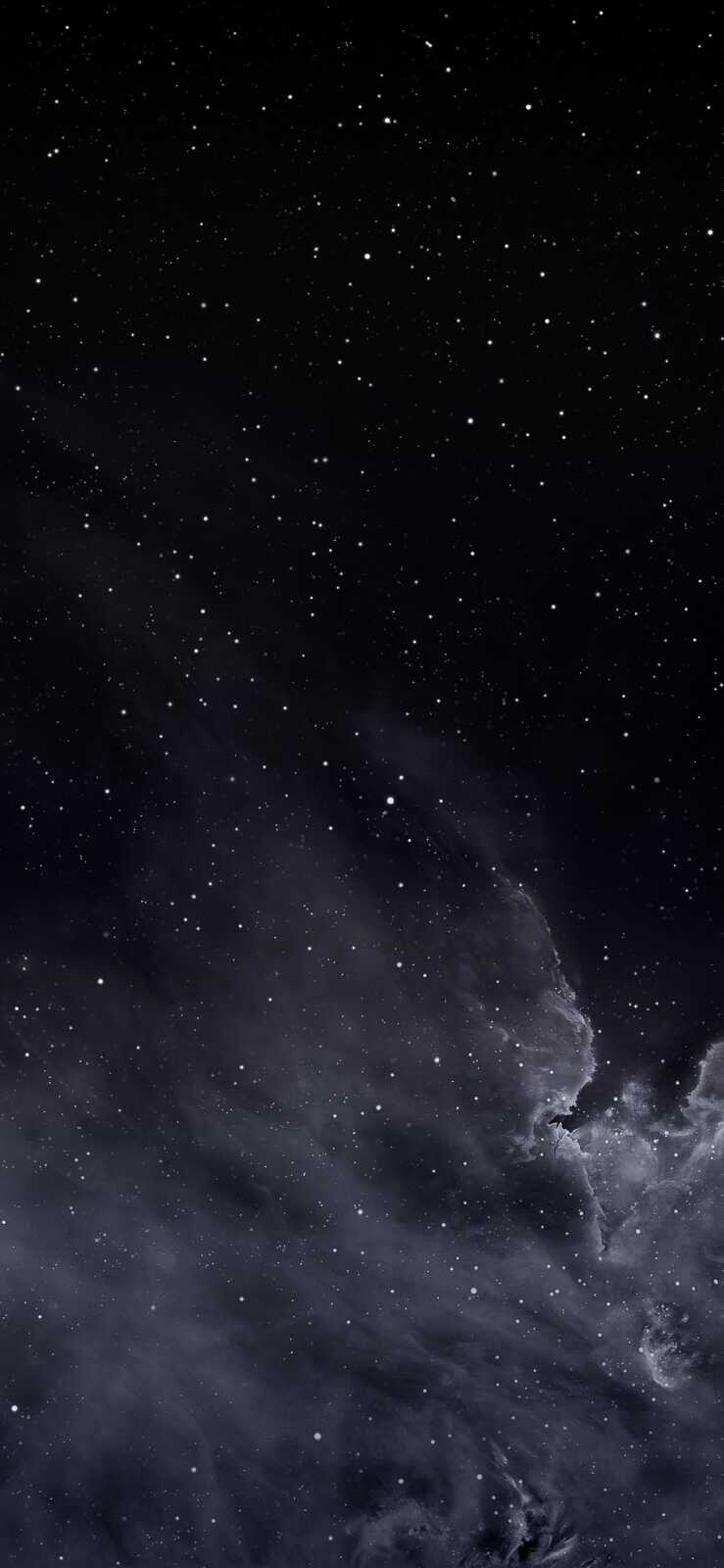 Starry Night Sky