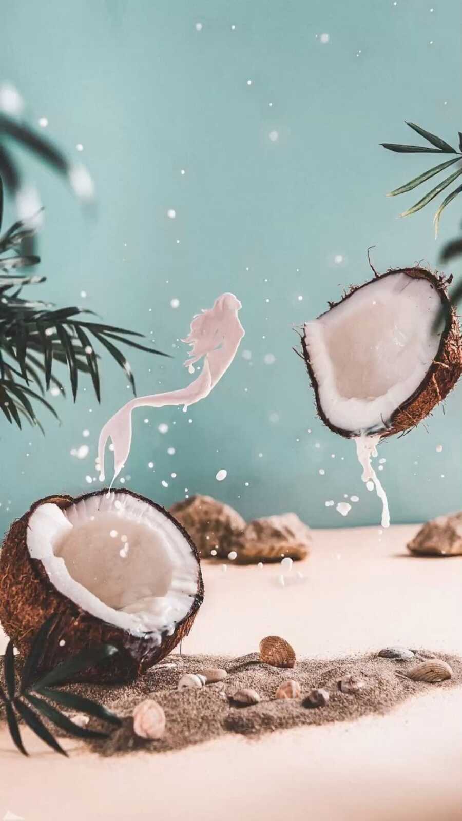 Coconut Wallpapers (46 images) - WallpaperCat