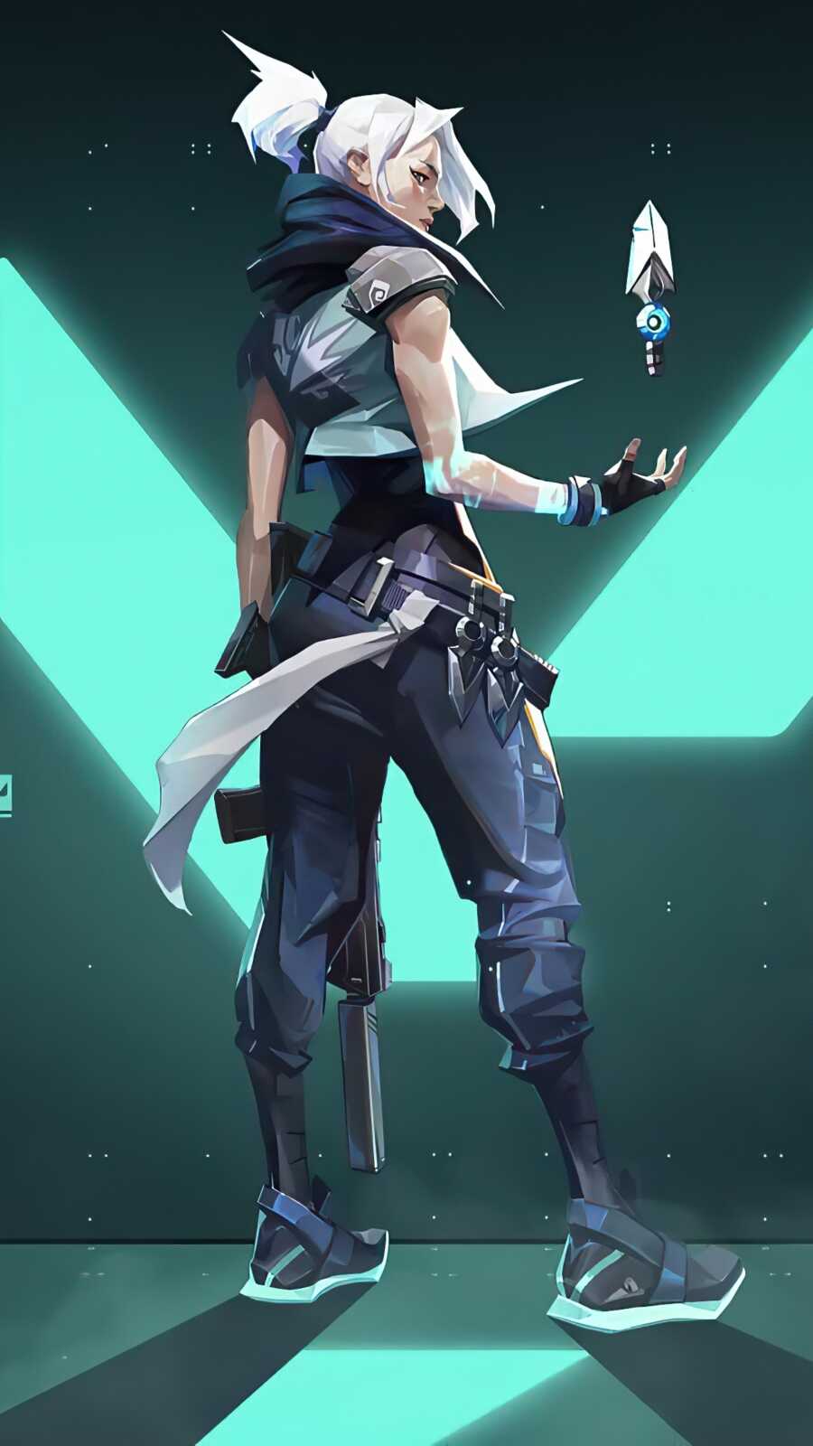 Duelist Backdrop Preview