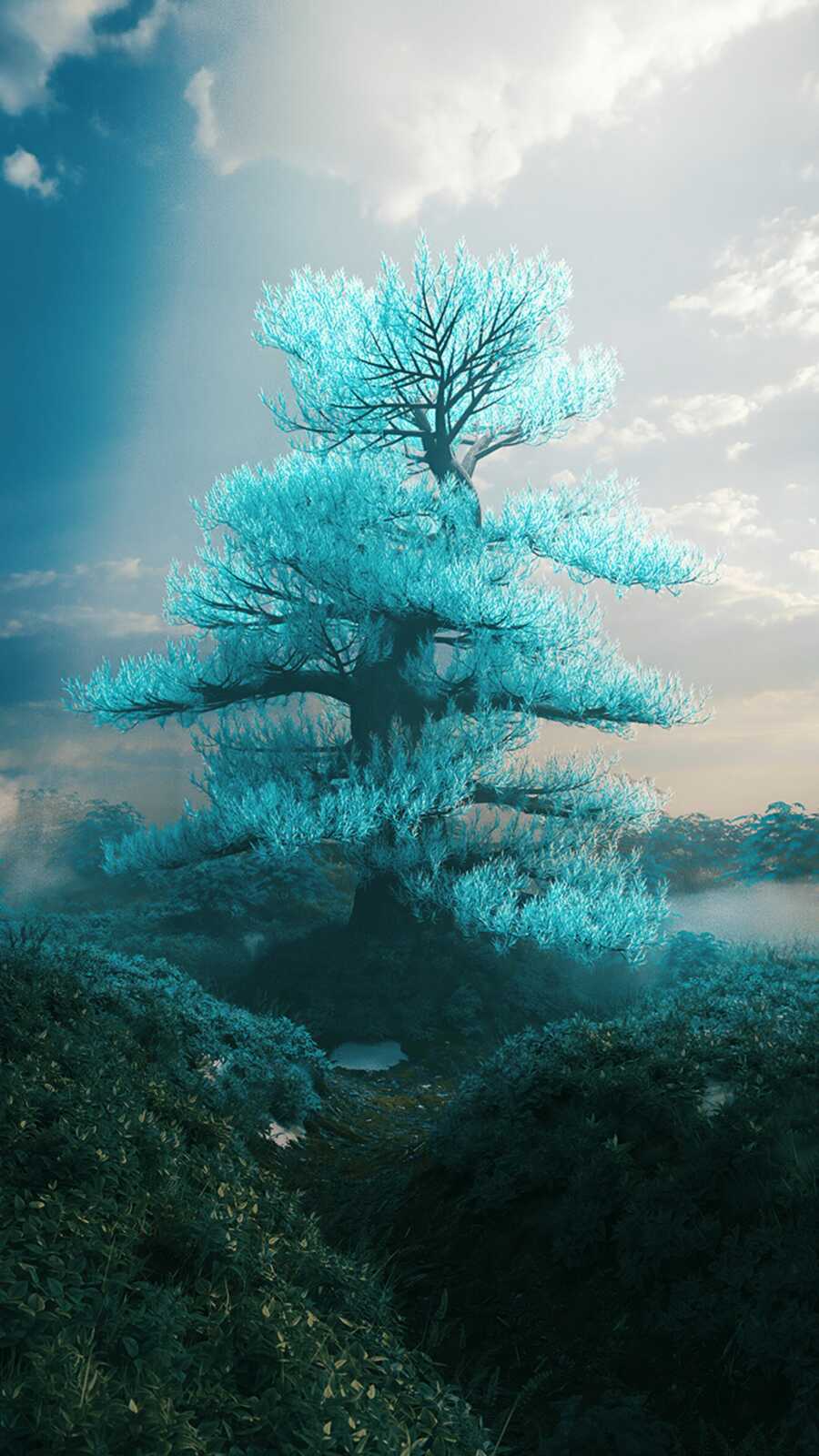 Tree Wallpapers (113 images) - WallpaperCat