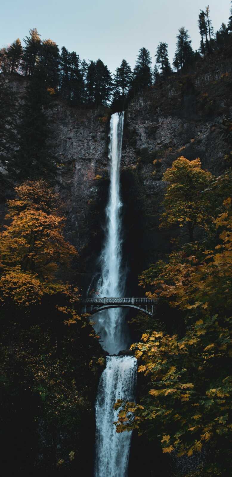 Multnomah