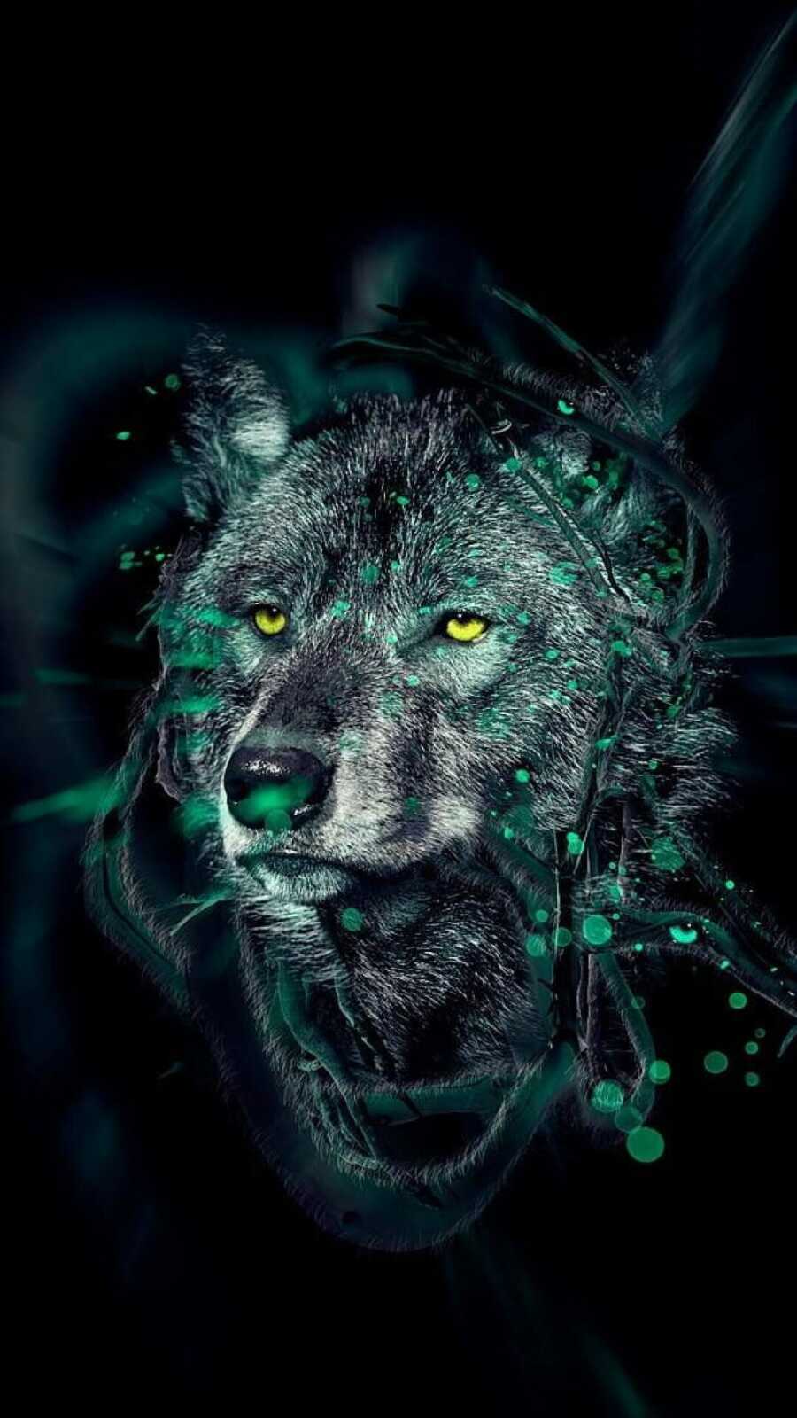 Yellow-Eyed Gray Wolf