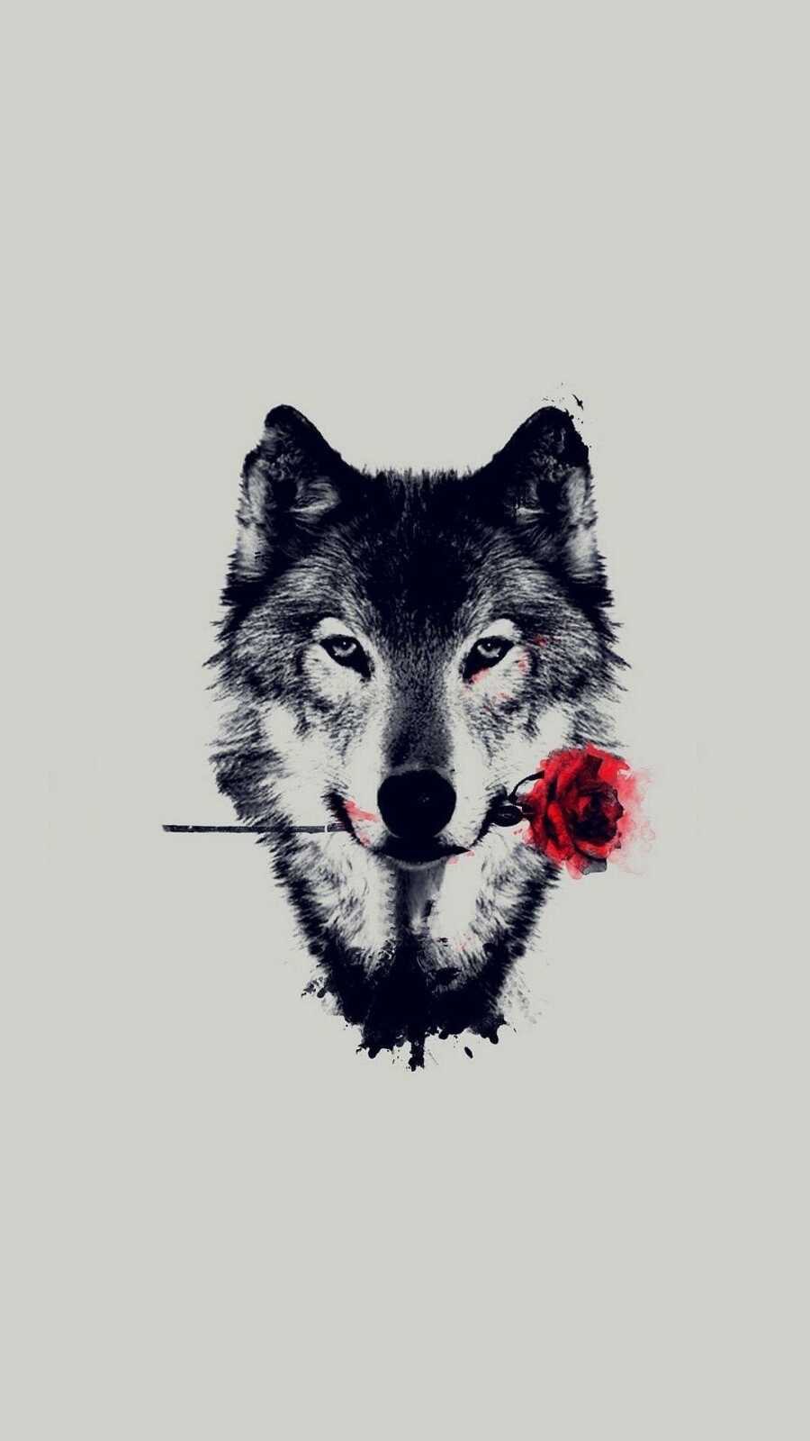 Gray Wolf Head