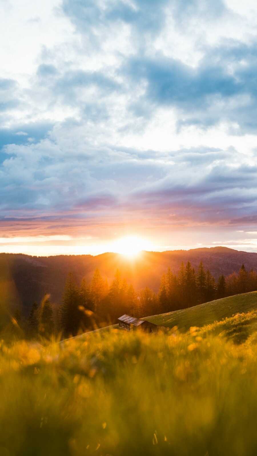 Sun Wallpapers (119 images) - WallpaperCat