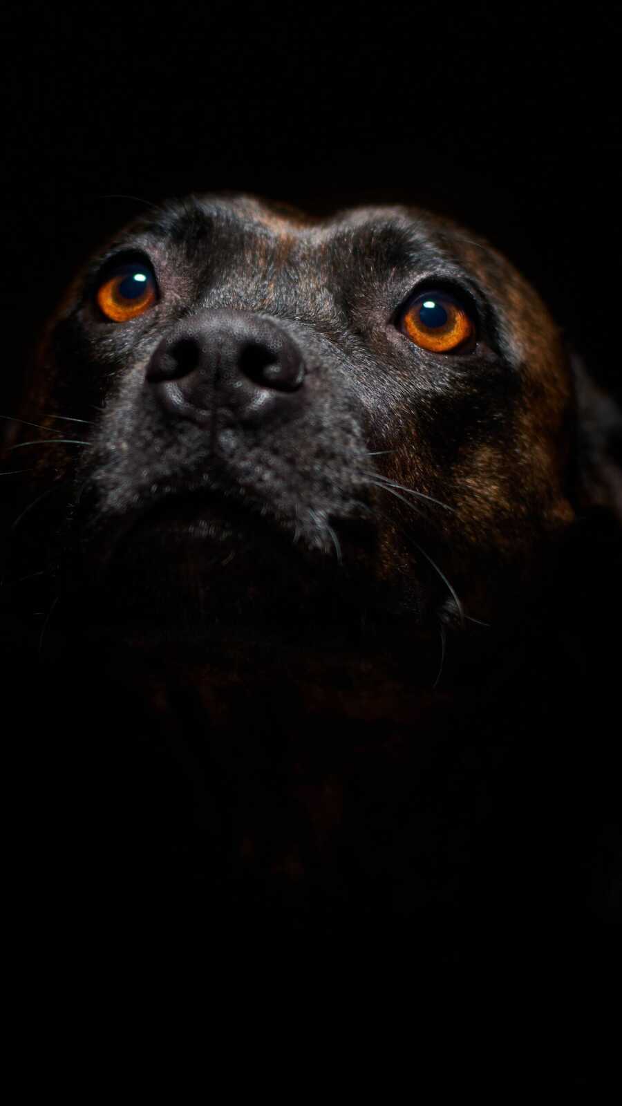 For iPhone 4K Wallpapers Collection