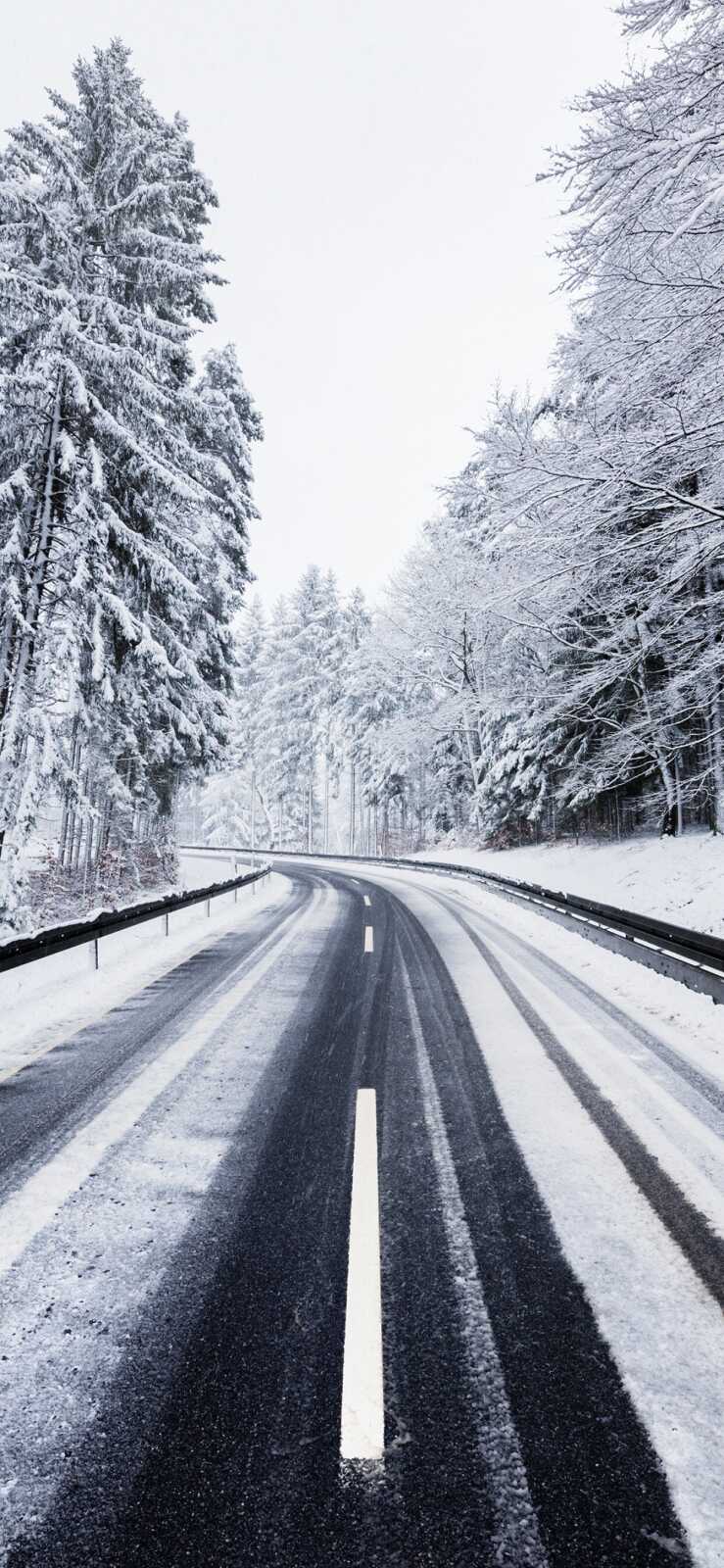 Snowy Road