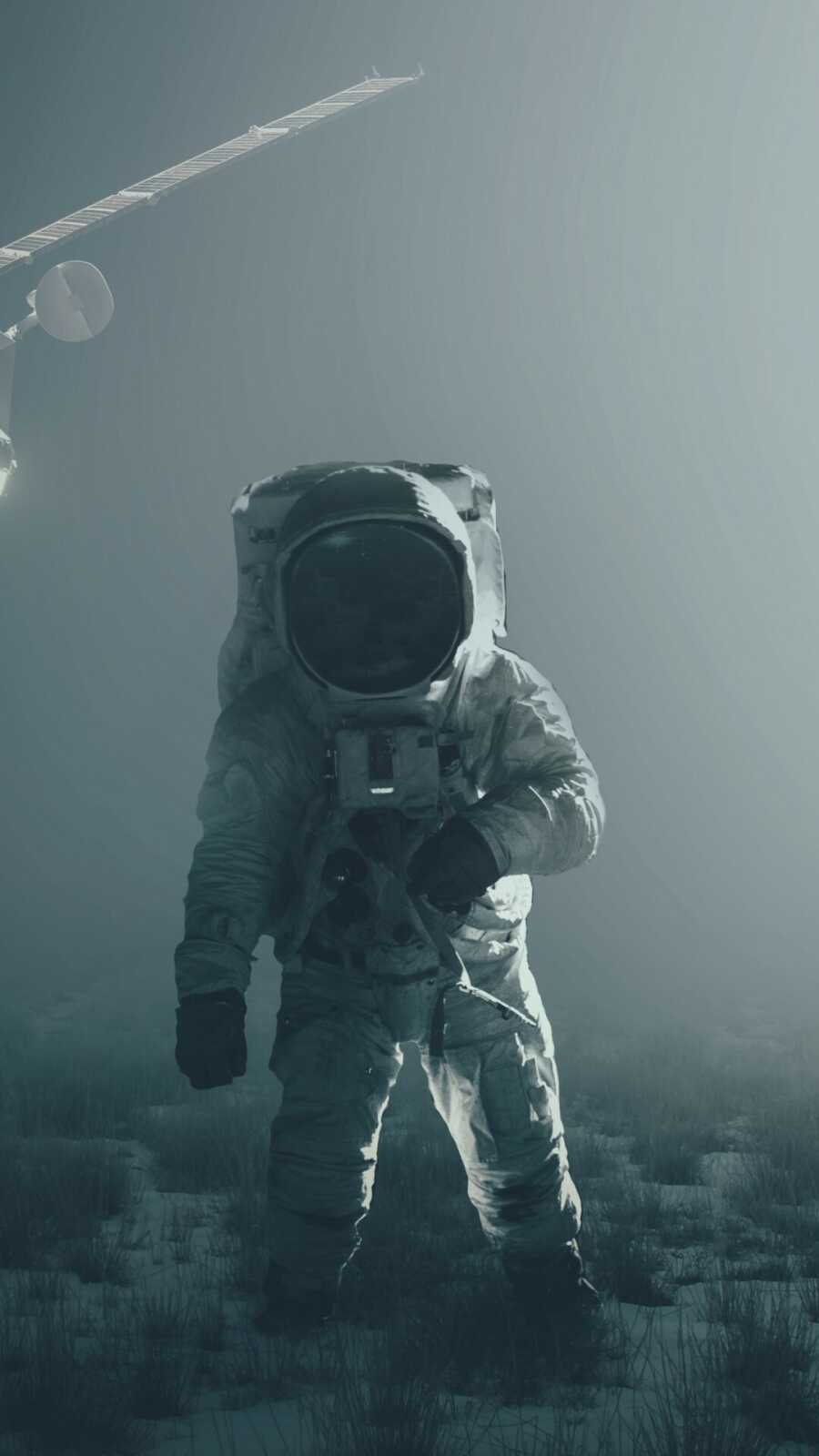 Astronaut In Spacesuit