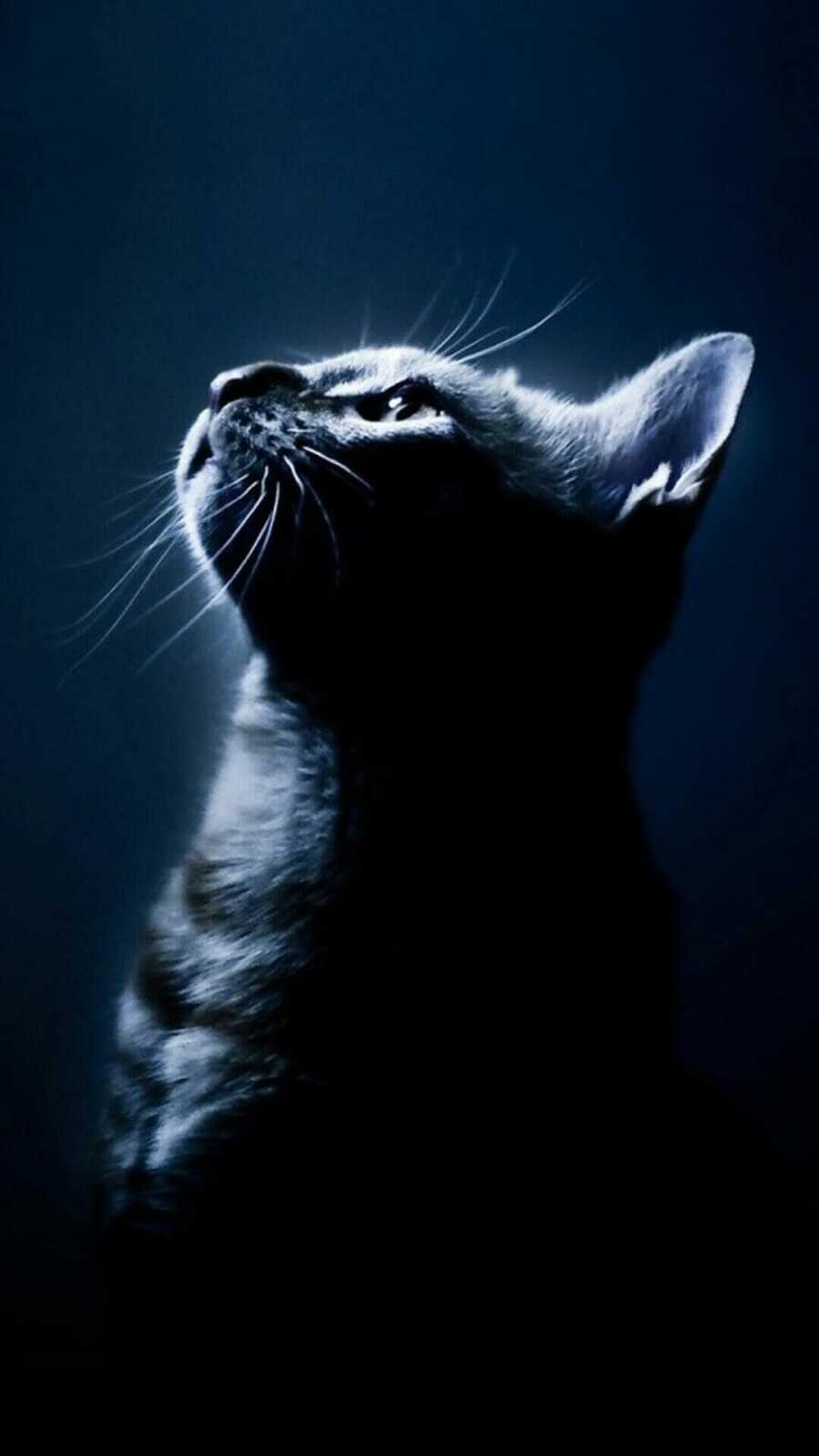 Look 4K Wallpapers Collection