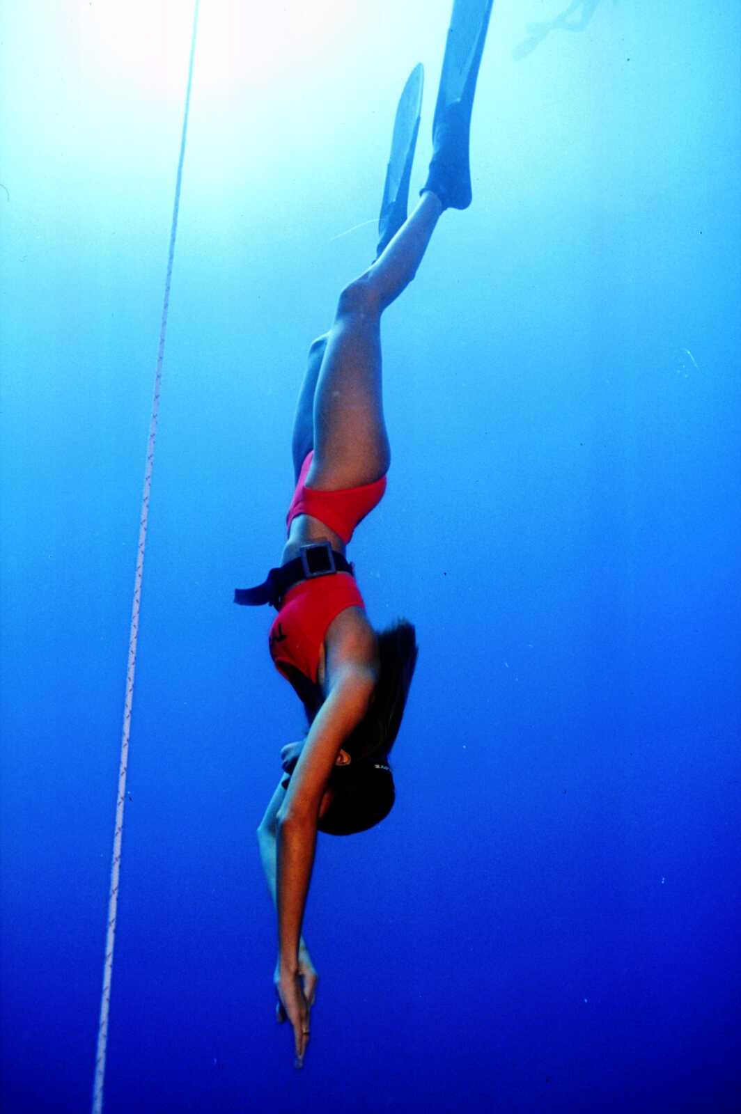 Diving Wallpapers (43 images) - WallpaperCat
