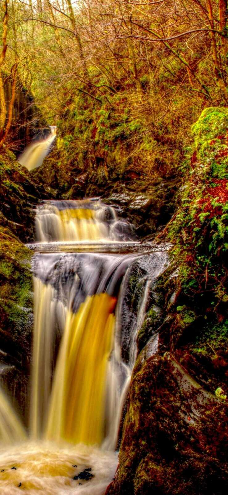 Cascading Forest Waterfall