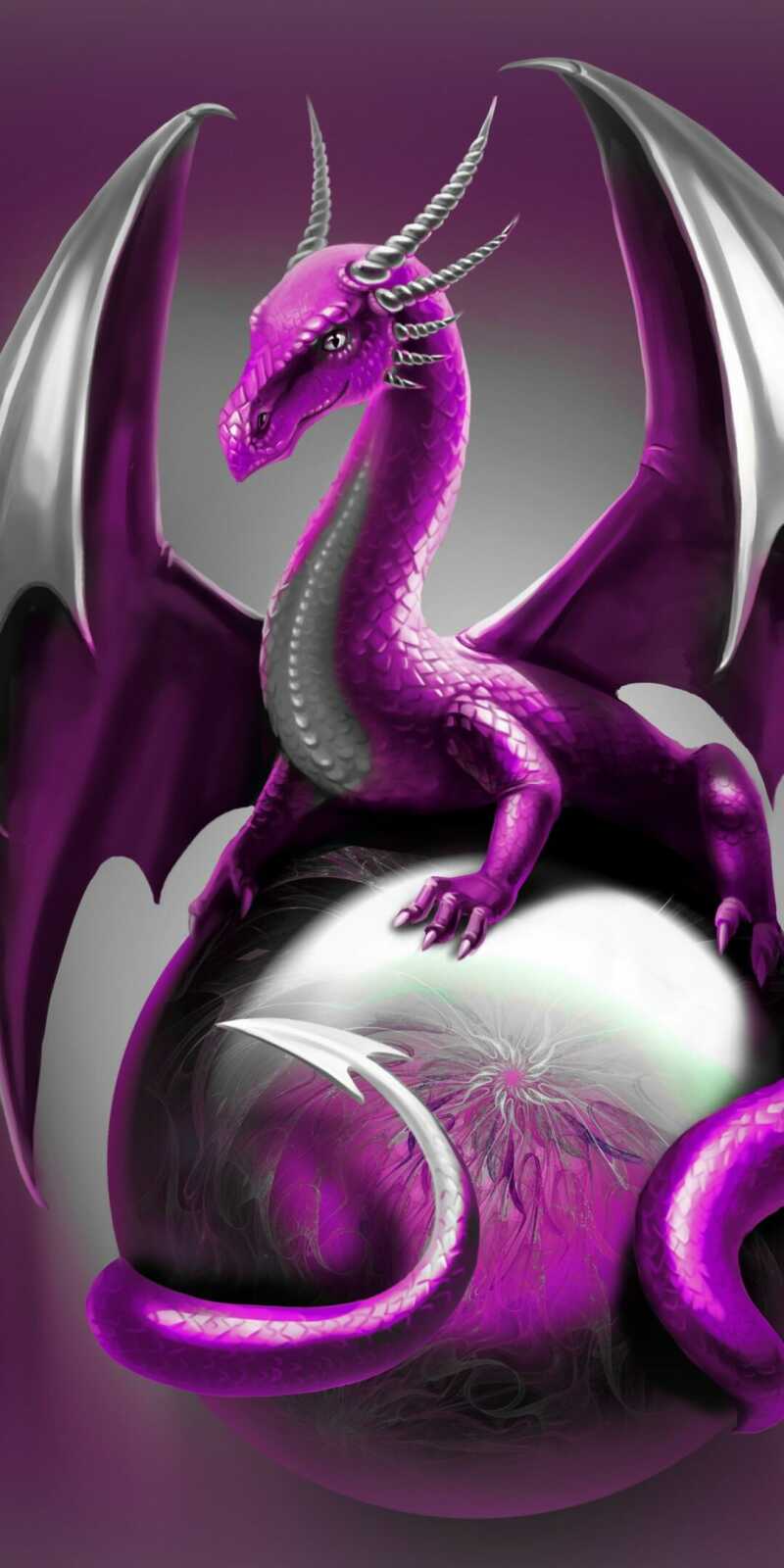 Purple Horned Dragon