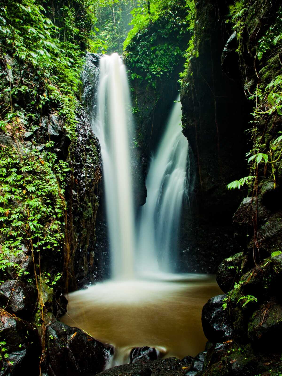 Twin Jungle Waterfall