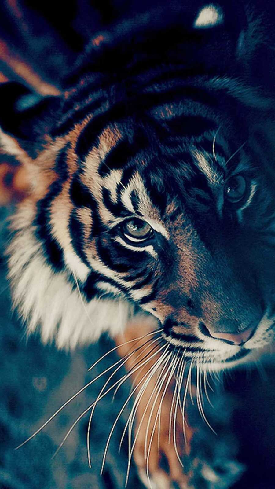 Marble 4K Wallpapers Collection