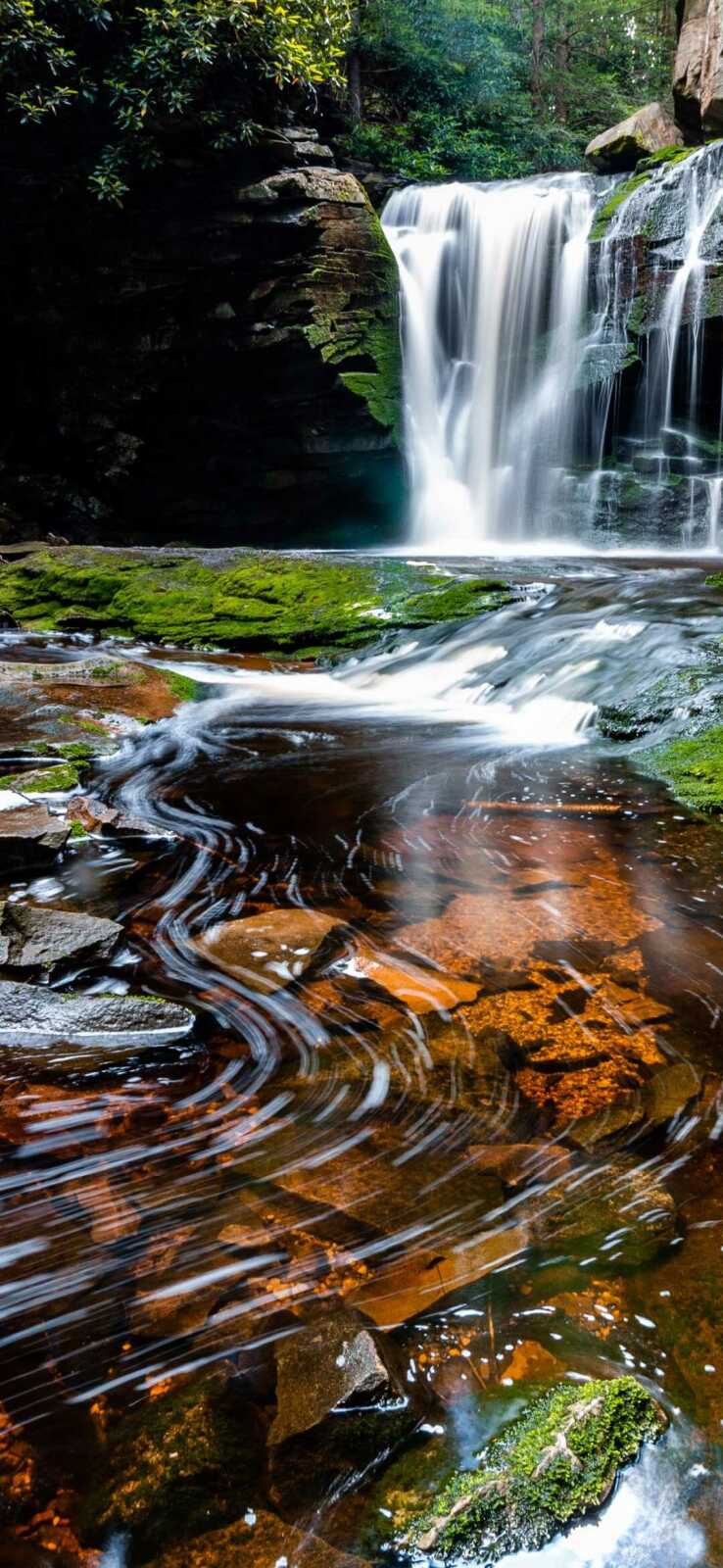 Cascading Forest Waterfall