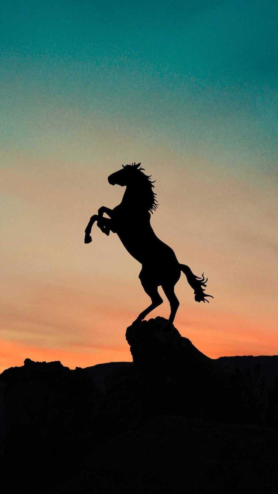 Rearing Horse Silhouette
