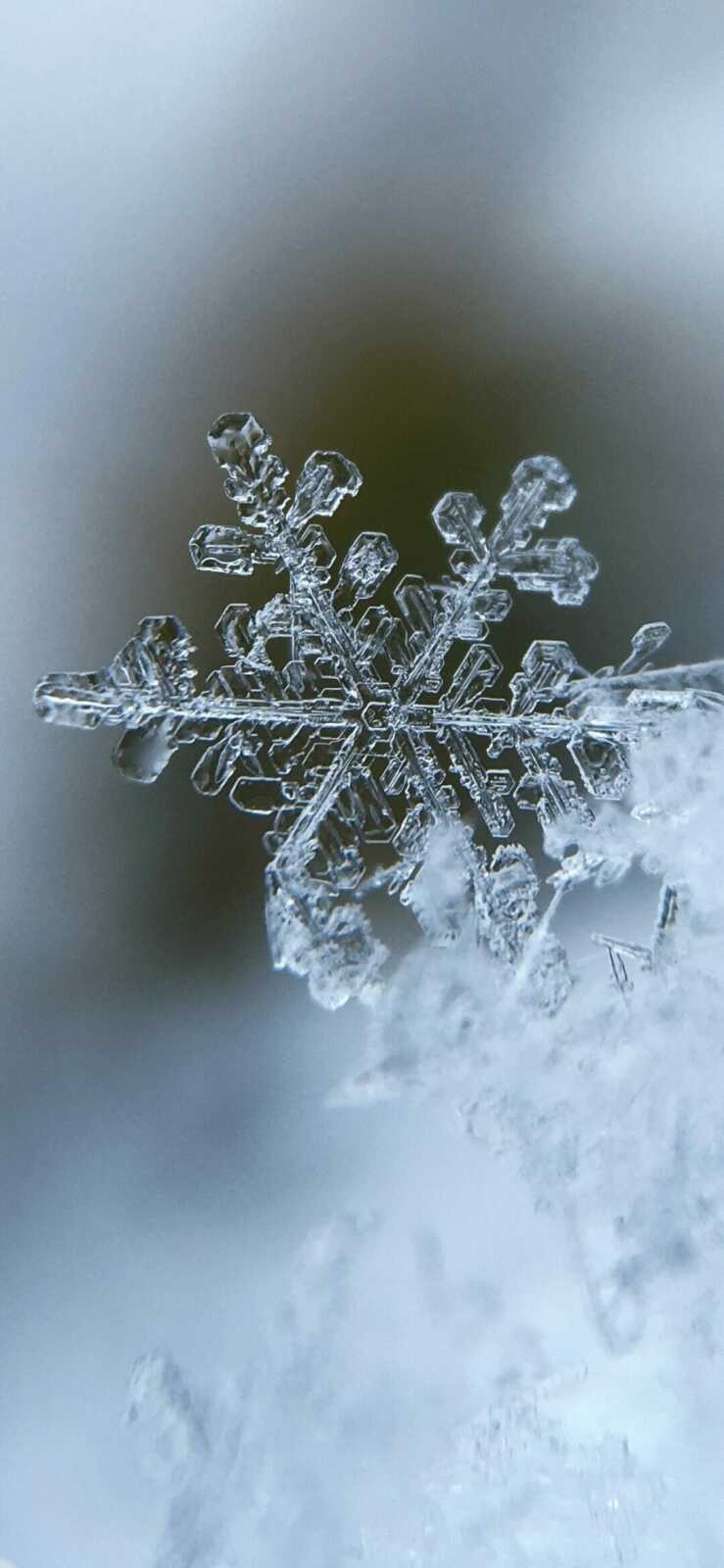 Macro Snowflake Crystal