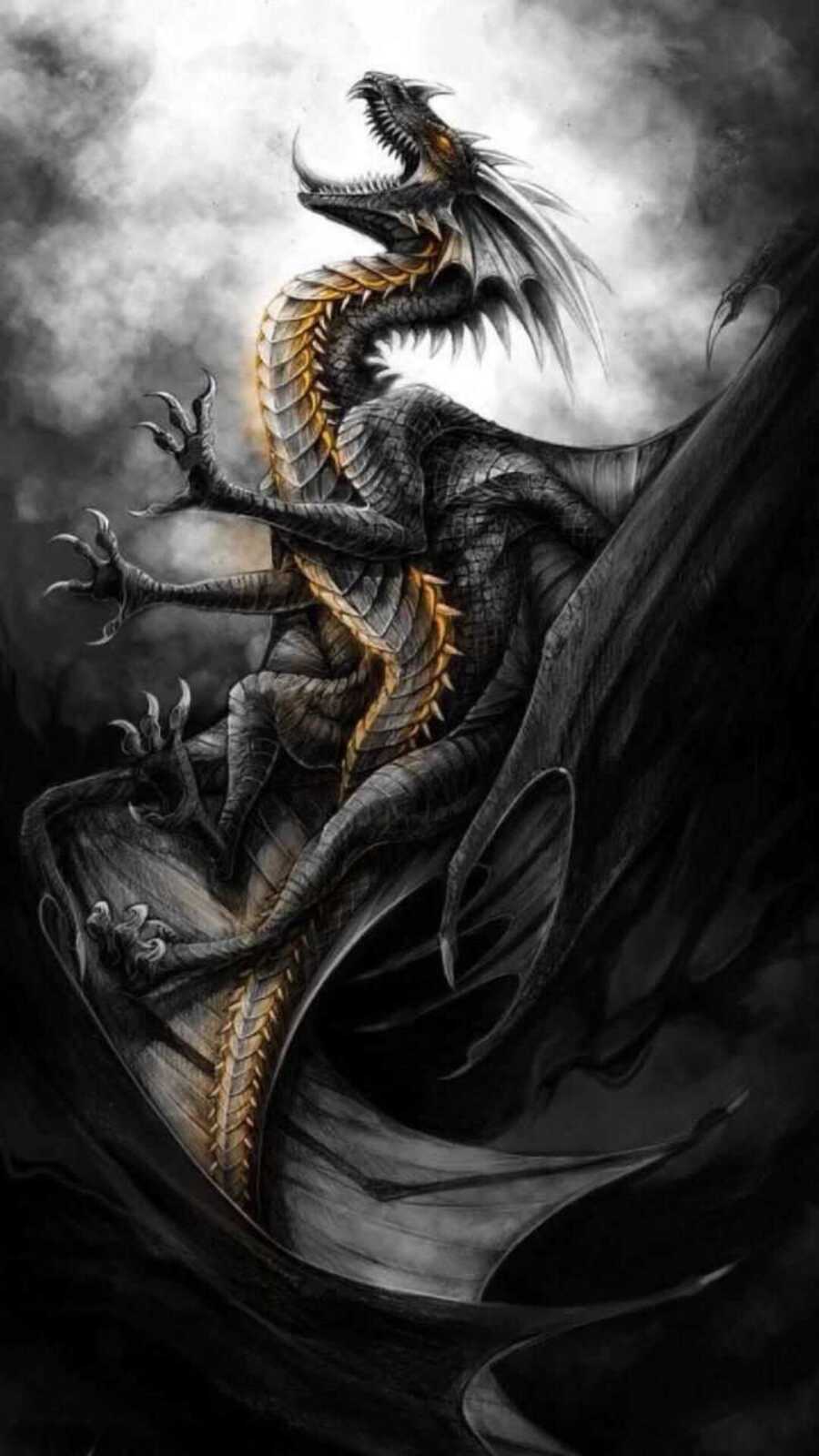 Black Dragon Golden Underbelly