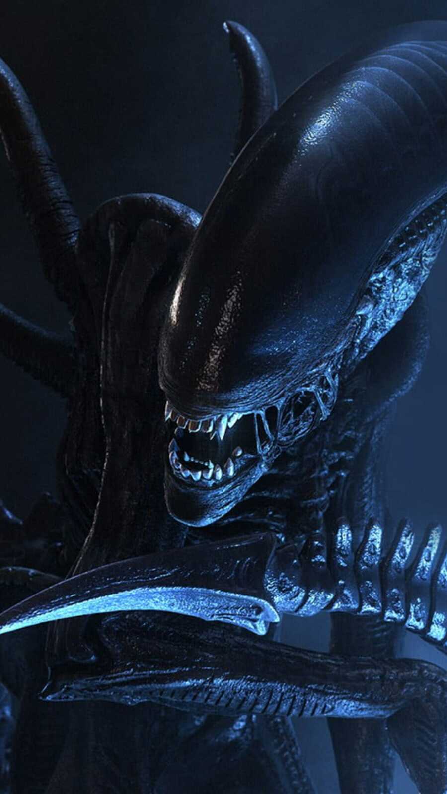 Alien (Movie) Wallpapers (26 images) - WallpaperCat