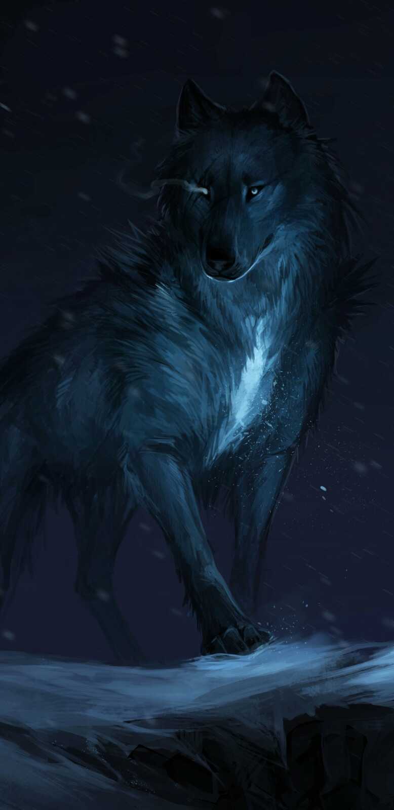 Black Wolf Digital Painting