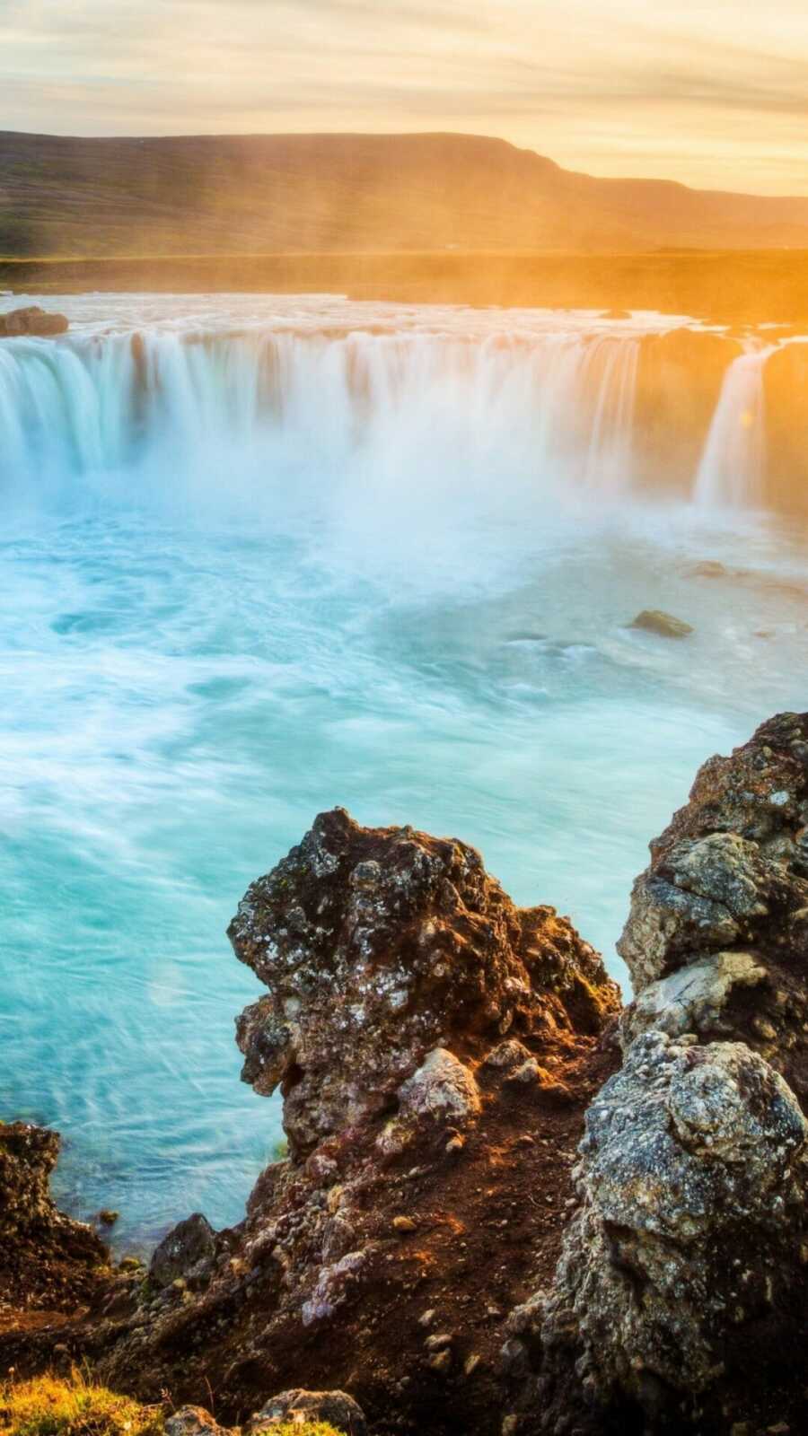 Hawaiian Flower 4K Wallpapers Collection