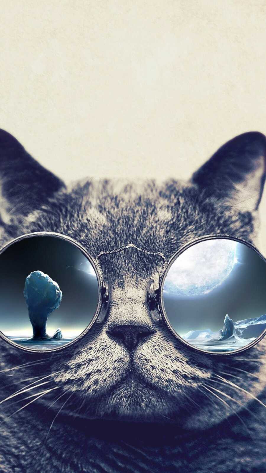 Grey Cat In Round Sunglasses