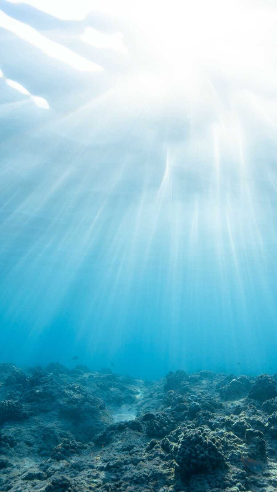 Underwater Sun Rays