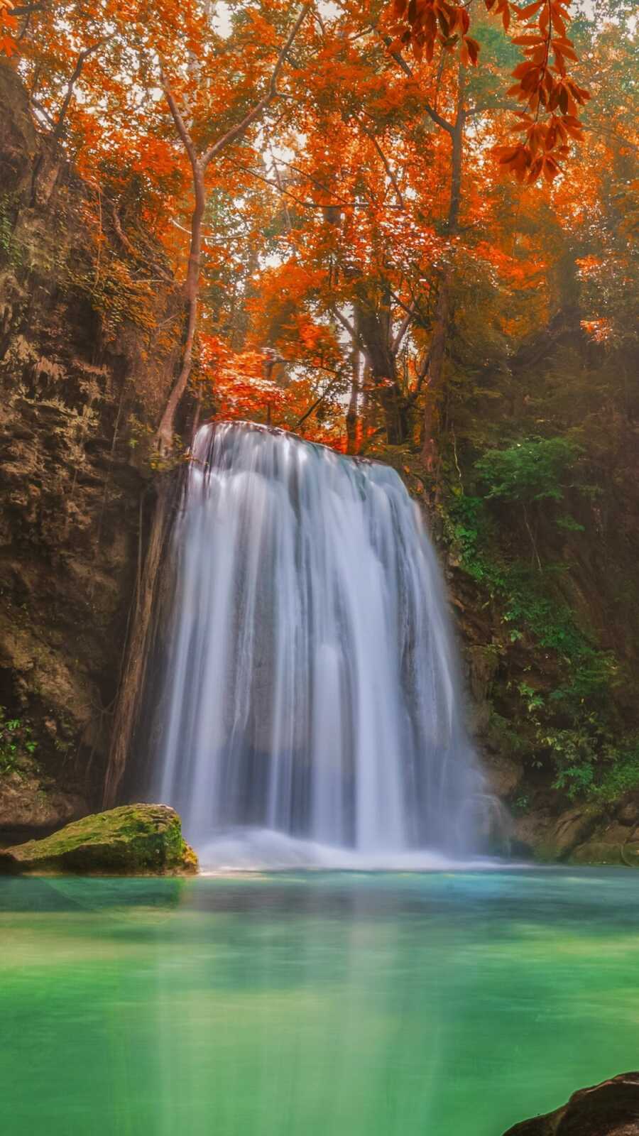 Cascading Forest Waterfall
