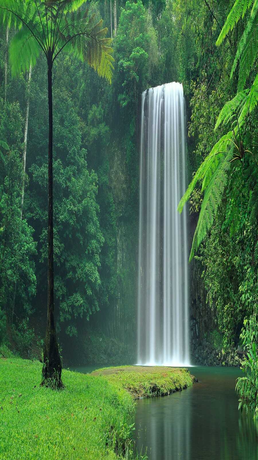 Millaa Millaa Falls