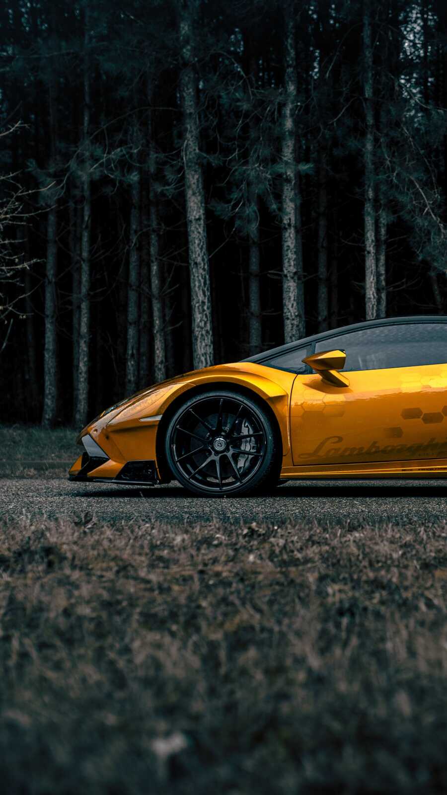 Gold Lamborghini
