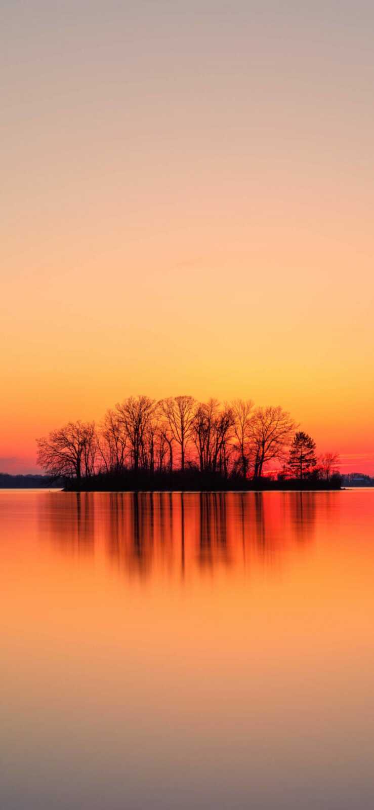 Silhouetted Tree Island