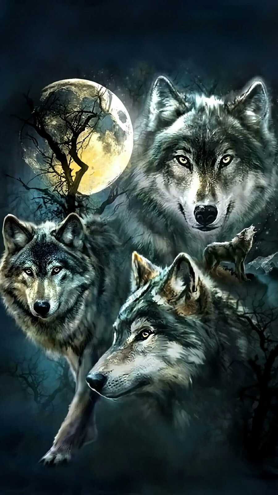 Three Gray Wolves Montage